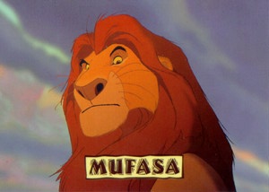 MUFASA